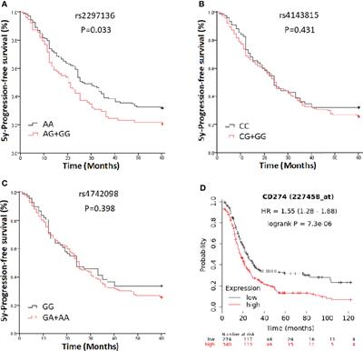 Genetic Variation of PD-L1 Gene Affects its Expression and Is Related to Clinical Outcome in Epithelial Ovarian Cancer